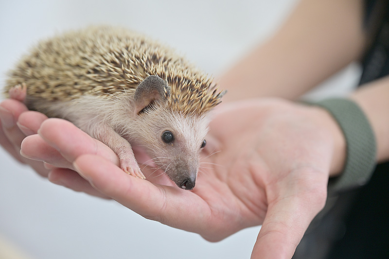 おもいでばこフォトギャラリー 沖縄市