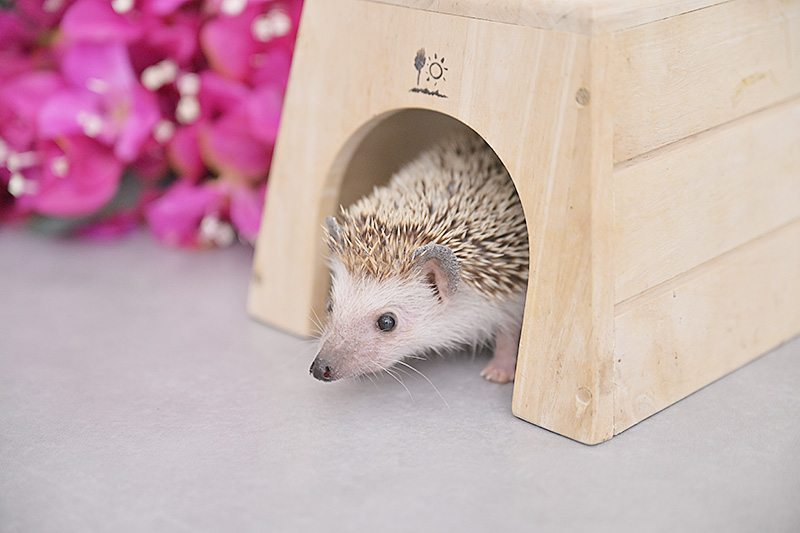 おもいでばこフォトギャラリー 沖縄市