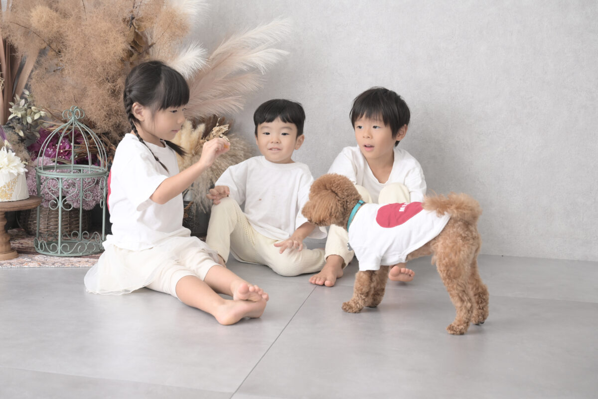 ペットのワンちゃんの1歳記念で兄弟写真（バースデーフォト）