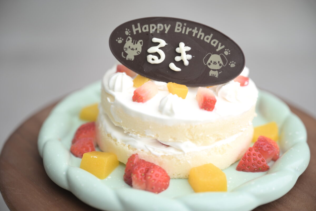 1歳の誕生記念の写真でママ手作りのバースデーケーキ