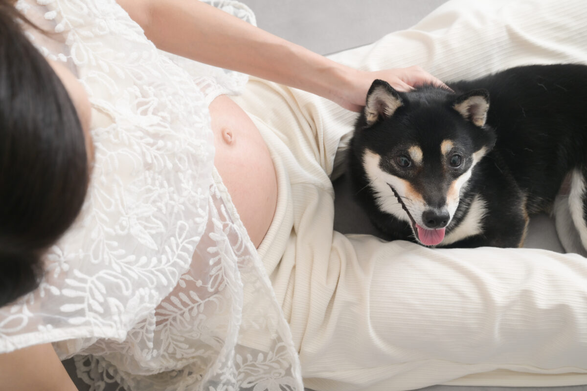 愛犬も一緒に。完全貸切で残すあたたかなマタニティフォト - No Image